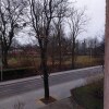 https://cdn-ostrovok-ru-ion.test.edgekey.net/t/100x100/hotel_review/1a/57/1a5770d777dad59d5ba8885dc26bb0e73df1d95e.jpeg