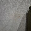 https://cdn-ostrovok-ru-ion.test.edgekey.net/t/100x100/hotel_review/1a/5a/1a5ad32283a8ef8bc812b002bce800b820931f9e.JPEG
