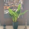 https://cdn-ostrovok-ru-ion.test.edgekey.net/t/100x100/hotel_review/1a/a0/1aa08bdec8771ff0f839f74b43e863a97bbbcd78.jpeg
