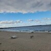 https://cdn-ostrovok-ru-ion.test.edgekey.net/t/100x100/hotel_review/1a/ae/1aaeab458286d6d498374601dbf438f99905e416.JPEG