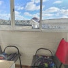 https://cdn-ostrovok-ru-ion.test.edgekey.net/t/100x100/hotel_review/1b/10/1b10310391497f7242112b61abb929fee00c1d52.jpeg
