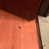 https://cdn-ostrovok-ru-ion.test.edgekey.net/t/100x100/hotel_review/1b/21/1b217ece41e0b2898275c09036ec16de4f3a24de.jpeg