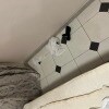 https://cdn-ostrovok-ru-ion.test.edgekey.net/t/100x100/hotel_review/1b/58/1b58e56fe1410c2a9e8b0a4a652085c0633cc2b7.JPEG