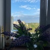 https://cdn-ostrovok-ru-ion.test.edgekey.net/t/100x100/hotel_review/1b/ba/1bba9d38895b49dfa41afb51a9084e05d8595f35.JPEG