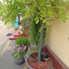 https://cdn-ostrovok-ru-ion.test.edgekey.net/t/100x100/hotel_review/1b/e0/1be04fa74f84adba98a2c29353bdffb335e70698.jpeg