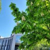https://cdn-ostrovok-ru-ion.test.edgekey.net/t/100x100/hotel_review/1b/ef/1bef4fa23cda24fe0b269cb491cbda7b8aea5866.jpeg
