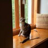 https://cdn-ostrovok-ru-ion.test.edgekey.net/t/100x100/hotel_review/1c/37/1c3718b3391a9e71007185624d407ff26ec12b76.JPEG