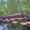https://cdn-ostrovok-ru-ion.test.edgekey.net/t/100x100/hotel_review/1c/3f/1c3fa98c29b9129b7adc4e1bf5a3641cc9c143cd.JPEG