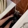 https://cdn-ostrovok-ru-ion.test.edgekey.net/t/100x100/hotel_review/1d/25/1d25b4de3d1bbb2ae6a8129bb0d3311abbd06c35.JPEG