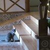 https://cdn-ostrovok-ru-ion.test.edgekey.net/t/100x100/hotel_review/1d/2d/1d2d834f2a21916db057c95d3f365a06cda6a183.JPEG