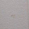https://cdn-ostrovok-ru-ion.test.edgekey.net/t/100x100/hotel_review/1d/30/1d3072a4ba16ee069ab58e682a262ade3170fcea.jpeg