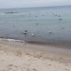 https://cdn-ostrovok-ru-ion.test.edgekey.net/t/100x100/hotel_review/1d/53/1d53ac27ae00b49de9900e715d88a50dc1b52296.JPEG