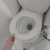 https://cdn-ostrovok-ru-ion.test.edgekey.net/t/100x100/hotel_review/1d/6a/1d6a4b34c75df98e2ea63d211f28edfb4a8fa88a.JPEG