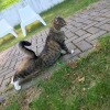 https://cdn-ostrovok-ru-ion.test.edgekey.net/t/100x100/hotel_review/1d/71/1d71fcb78651ab51012329fefea9601b9de4c8d8.JPEG
