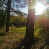 https://cdn-ostrovok-ru-ion.test.edgekey.net/t/100x100/hotel_review/1d/a1/1da1b910e7e00fac584b7fc73f3b34f8ae3bcfe4.jpeg