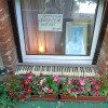 https://cdn-ostrovok-ru-ion.test.edgekey.net/t/100x100/hotel_review/1e/0b/1e0be5efb8534165497697fcb1d810668706596d.JPEG