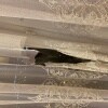 https://cdn-ostrovok-ru-ion.test.edgekey.net/t/100x100/hotel_review/1e/0e/1e0e6c633e3a317935362c480a96bd2139d9566a.JPEG