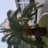 https://cdn-ostrovok-ru-ion.test.edgekey.net/t/100x100/hotel_review/1e/2e/1e2e922622f791c75f9f3b0ce7ec3ccd85faf6ce.JPEG
