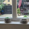https://cdn-ostrovok-ru-ion.test.edgekey.net/t/100x100/hotel_review/1e/2f/1e2f739c0eeaef50573e5c8caf6b7824d2ecb9e2.JPEG