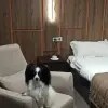 https://cdn-ostrovok-ru-ion.test.edgekey.net/t/100x100/hotel_review/1e/5f/1e5f3453f8a530020cef6763284c466dd61a8dc3.JPEG