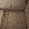 https://cdn-ostrovok-ru-ion.test.edgekey.net/t/100x100/hotel_review/1e/62/1e62c9f5e2698ecffabf6a37ff70534dceb5b473.JPEG