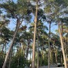 https://cdn-ostrovok-ru-ion.test.edgekey.net/t/100x100/hotel_review/1e/b4/1eb4868cbe94aeae14b82f9282ce65af03ed78cd.jpeg