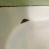 https://cdn-ostrovok-ru-ion.test.edgekey.net/t/100x100/hotel_review/1e/f6/1ef6936ce47a52925a91998c9e80dd4b9636f339.JPEG