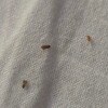 https://cdn-ostrovok-ru-ion.test.edgekey.net/t/100x100/hotel_review/1f/54/1f5446ca4063c69cc9b60c46c0b04d6986635ff7.JPEG