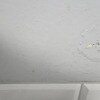 https://cdn-ostrovok-ru-ion.test.edgekey.net/t/100x100/hotel_review/1f/9f/1f9fbc71fe5d57482ebb007a94c9edfbbf1f8a28.JPEG