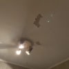 https://cdn-ostrovok-ru-ion.test.edgekey.net/t/100x100/hotel_review/1f/c7/1fc74e602fe884392c35e3205e69fbdbc26b87f8.jpeg