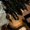 https://cdn-ostrovok-ru-ion.test.edgekey.net/t/100x100/hotel_review/1f/e0/1fe07193be8c8823eeacd872ce5378c14cb4d436.JPEG
