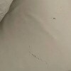 https://cdn-ostrovok-ru-ion.test.edgekey.net/t/100x100/hotel_review/20/40/2040ef4f8361ea5639c35db9c7d75f1a745c9849.JPEG