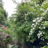 https://cdn-ostrovok-ru-ion.test.edgekey.net/t/100x100/hotel_review/20/46/204603e2303e94eadca092d71726279e4c7a56b9.jpeg
