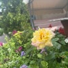 https://cdn-ostrovok-ru-ion.test.edgekey.net/t/100x100/hotel_review/20/4b/204b309350fea2931de0217e2318249852d708cc.JPEG