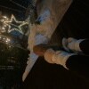 https://cdn-ostrovok-ru-ion.test.edgekey.net/t/100x100/hotel_review/20/89/20891bfc7cfda836cd12d046a3e0e0be209ff35a.JPEG