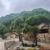 https://cdn-ostrovok-ru-ion.test.edgekey.net/t/100x100/hotel_review/20/8b/208bd787baca66f5a48f66a5ab74ae42c51545a2.JPEG