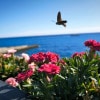 https://cdn-ostrovok-ru-ion.test.edgekey.net/t/100x100/hotel_review/20/c8/20c8fa3aff22a8d694c6751fdf4fb6bf6e8bbc71.JPEG
