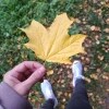 https://cdn-ostrovok-ru-ion.test.edgekey.net/t/100x100/hotel_review/20/cc/20cce809c9a8de112b2034f01924951de4397909.jpeg