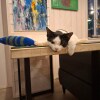 https://cdn-ostrovok-ru-ion.test.edgekey.net/t/100x100/hotel_review/21/96/2196a5dc5e154619888195a49aa6e63cea4c260b.JPEG