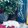 https://cdn-ostrovok-ru-ion.test.edgekey.net/t/100x100/hotel_review/21/ff/21ff651e571471e884d0f35329f8c61a68b155e6.JPEG