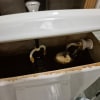 https://cdn-ostrovok-ru-ion.test.edgekey.net/t/100x100/hotel_review/22/29/2229629d48a3dfd90400fcc970f13fea38a33eb3.JPEG