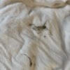 https://cdn-ostrovok-ru-ion.test.edgekey.net/t/100x100/hotel_review/22/44/22441f79cd40dba1c4b2519863d4392785791187.JPEG