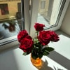 https://cdn-ostrovok-ru-ion.test.edgekey.net/t/100x100/hotel_review/22/44/22449570c484d5cf0fa1c49ca613581fd5ba5f8f.JPEG