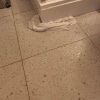 https://cdn-ostrovok-ru-ion.test.edgekey.net/t/100x100/hotel_review/22/9c/229cd1e2e5939e3d4ae14e3ac5916b3762240c9f.JPEG