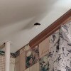 https://cdn-ostrovok-ru-ion.test.edgekey.net/t/100x100/hotel_review/22/bf/22bf829cfa4050626e9568de182eb2704f1ed69f.JPEG