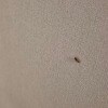 https://cdn-ostrovok-ru-ion.test.edgekey.net/t/100x100/hotel_review/22/c5/22c5daff7770e46082cda9d8978c2927576a2a67.JPEG
