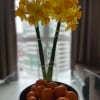 https://cdn-ostrovok-ru-ion.test.edgekey.net/t/100x100/hotel_review/22/d1/22d1835dd6550602dc6a2a487832fe2d218fe29a.jpeg