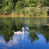https://cdn-ostrovok-ru-ion.test.edgekey.net/t/100x100/hotel_review/22/e7/22e7bafb293993c0651e2410f9845e73bbc9eedf.JPEG