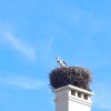https://cdn-ostrovok-ru-ion.test.edgekey.net/t/100x100/hotel_review/23/2a/232a7b972ddf7aa6cf1ce912973a8c9c5ff0a0d6.JPEG