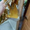 https://cdn-ostrovok-ru-ion.test.edgekey.net/t/100x100/hotel_review/23/4b/234bd9d4ca38617feee8729fe605de2014e9e6a3.JPEG